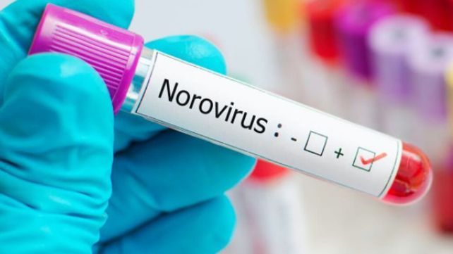 Los casos de norovirus provocaron alerta en las autoridades de Salud chinas.&nbsp;