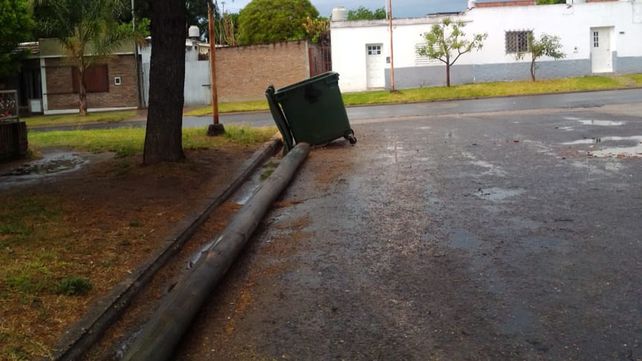 Paraná: árboles caídos y viviendas anegadas por el temporal