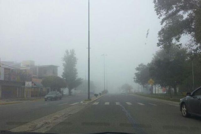 Visibilidad reducida por la presencia de niebla en rutas y calles