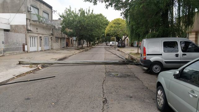 Temporal en Rosario: 50 milímetros de lluvia en una hora, calles anegadas y árboles caídos