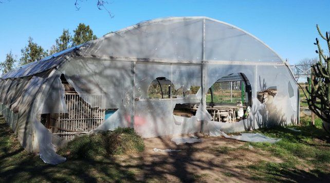 Vandalizaron en la madrugada del sábado la Escuela Agrotécnica de Caracarañá