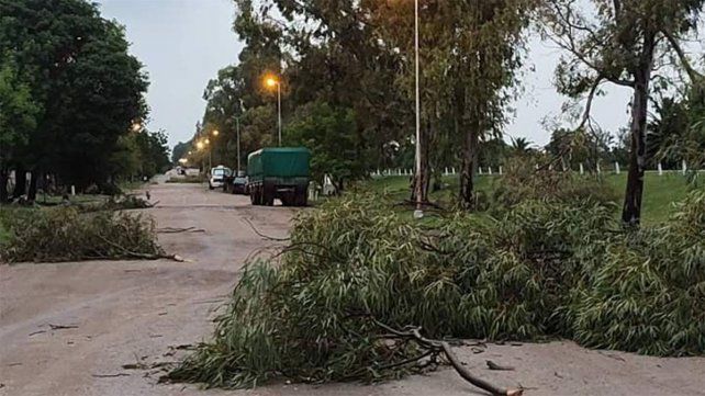 Cerrito: el temporal de viento y lluvia provocó grandes inconvenientes