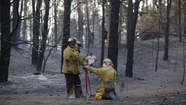 Aseguran que está controlado el voraz incendio en los bosques de Valeria del Mar