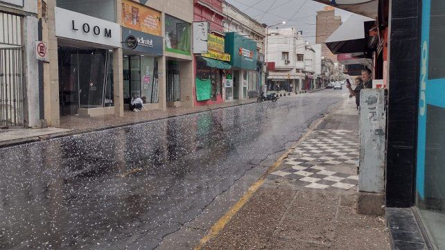 El Servicio Meteorológico Nacional (SMN) advirtió por lluvias fuertes con actividad eléctrica y caída de granizo para este lunes en Entre Ríos.