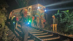 Seis elefantes murieron tras ser embestidos por un tren en Sri Lanka