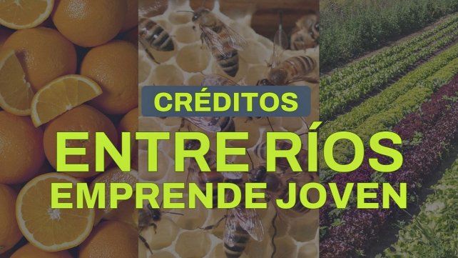 Abrió la convocatoria del programa Entre Ríos Emprende Joven.