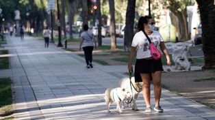 Hubo 641 contagios y 5 fallecimientos por Covid en las últimas 24 horas en Argentina
