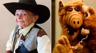 La televisión de luto: murió el actor que interpretó al extraterrestre Alf