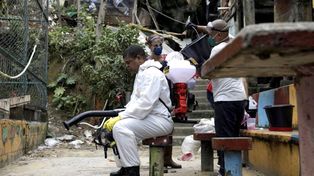 Coronavirus: Brasil reportó el primer caso comprobado de reinfección