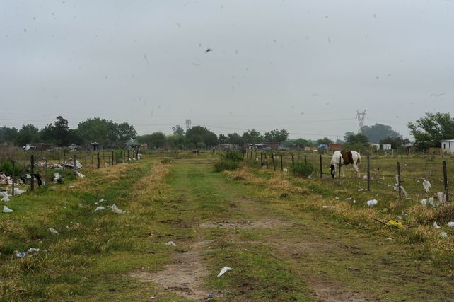 Nuevo Alberdi tienen hoy múltiples lotes que serán urbanizados.