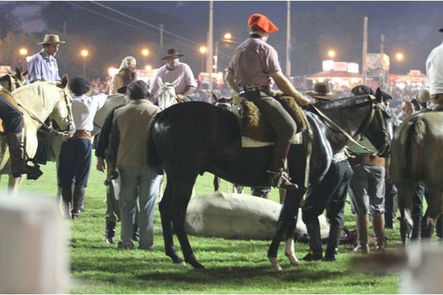 Tras un golpe, murió una yegua en el campo de la jineteada que representaba a Santa Fe
