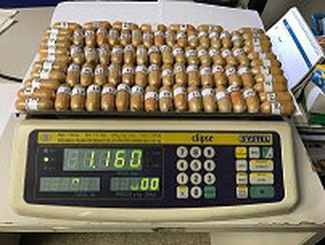 Salta: AFIP secuestró 4,3 kilos de cocaína valuados en 43 mil dólares