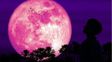 La luna se tiñe de rosa: dónde y cómo ver la luna llena en Rosario