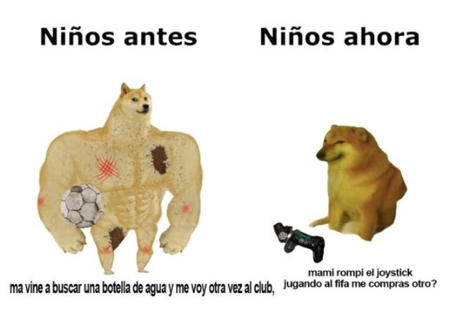 Reír para no llorar: el ranking de memes que definen este particular 2020