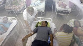El gobierno alerta que la expansión del dengue será alarmante en marzo