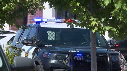 Estados Unidos: decapitó a su hijo de un año después de una discusión familiar