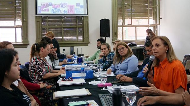 El Consejo de Humanidades avaló este jueves con todos sus votos el proyecto de Nacionalización.