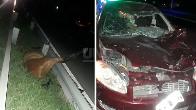 El caballo quedó muerto al costado de la Ruta Nacional 168
