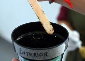 Prevención del dengue en Santa Fe: el municipio detectó los primeros huevos de Aedes aegypti en ovitrampas en Bº Chalet
