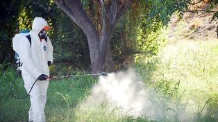 Cronograma de fumigaciones en la ciudad para esta semana