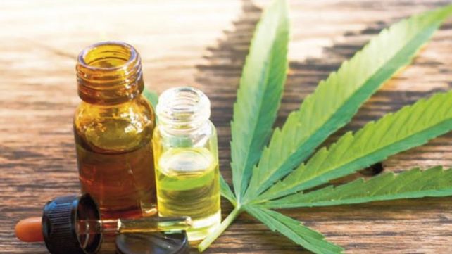 Anmat prohibió dos marcas de aceite de cannabis que prometían efectos terapéuticos pero no contaban con respaldo científico