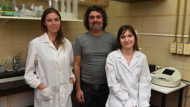 Científicos rosarinos consiguen importantes avances contra los cánceres de hígado más letales