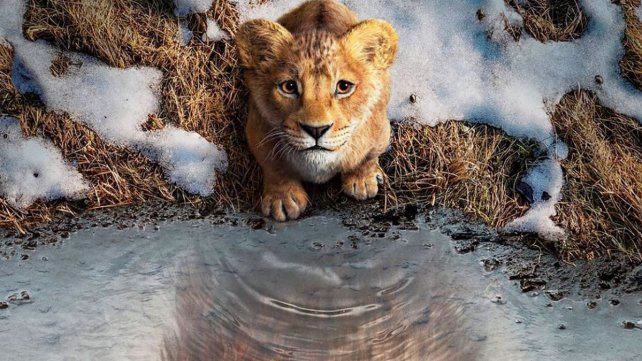Mufasa: El Rey León