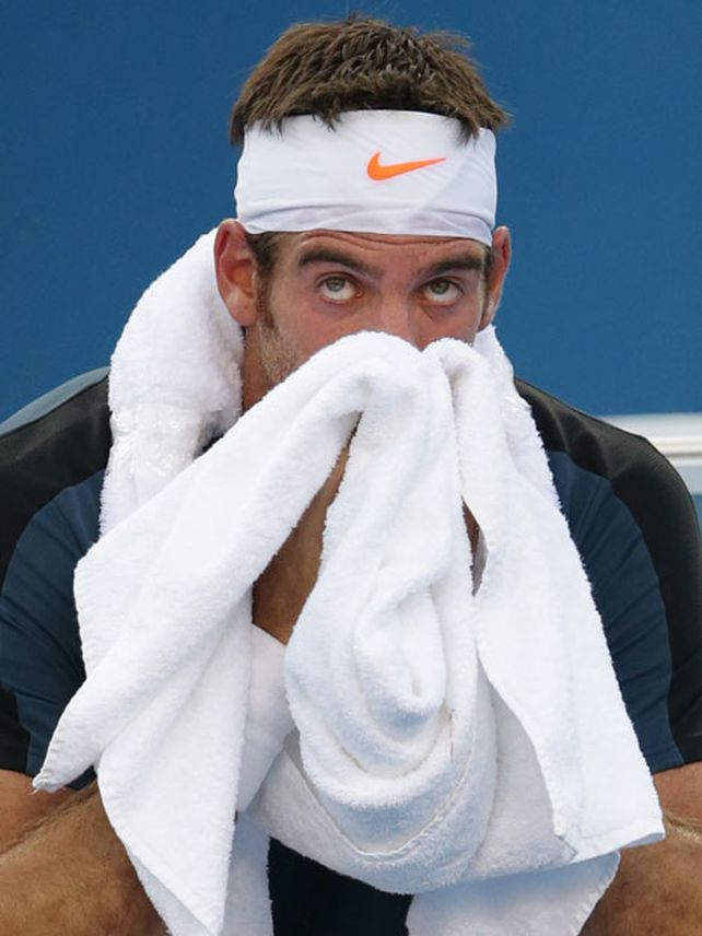 Del Potro quedó afuera del Abierto de Australia