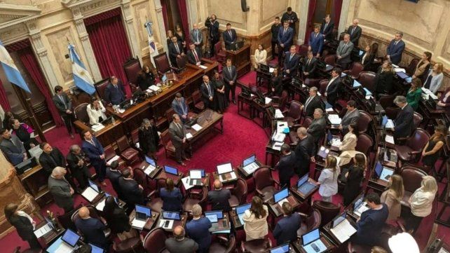 Salud Mental: el Senado aprobó la reforma y el proyecto ahora pasa a Diputados.