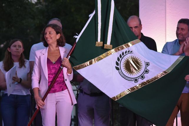 El símbolo fue creado en 2025 dentro del proyecto Colores del Sur