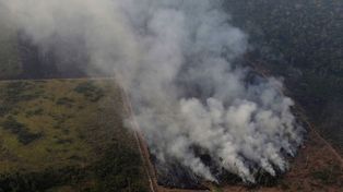 El humo de los incendios en el Amazonas podría llegar a la ciudad