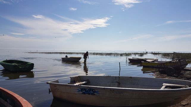 Los pescadores de red de Diego de Alvear lograron que se prohíba la pesca deportiva de lunes a viernes.