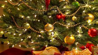 Murió un chico de 14 años electrocutado mientras armaba el árbol de navidad