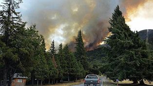 Los incendios se devoran cerca de 400 mil hectáreas por año en el país