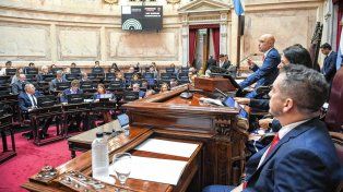 El Senado se prepara para rechazar el veto a los ATN