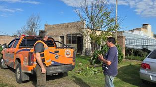 Cuadrillas de la provincia trabajaron en zonas afectadas por la tormenta.&nbsp;