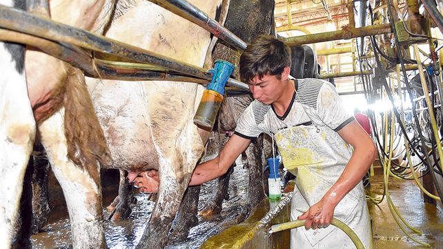 La baja de reintegros pega en las economías regionales