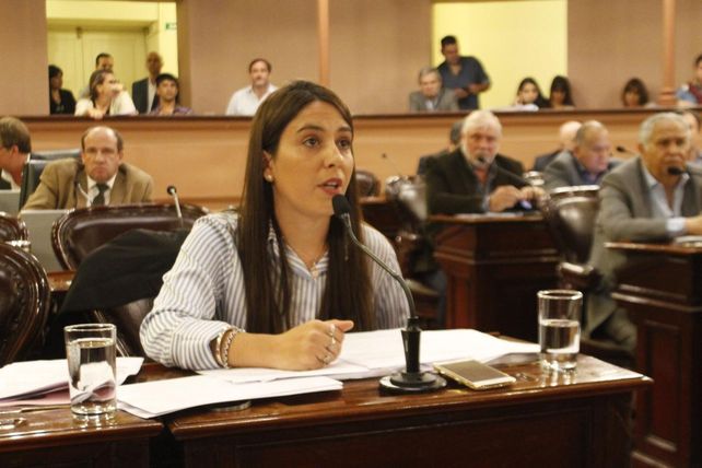 Dengue: diputada presentó un pedido de informe para aclarar dudas