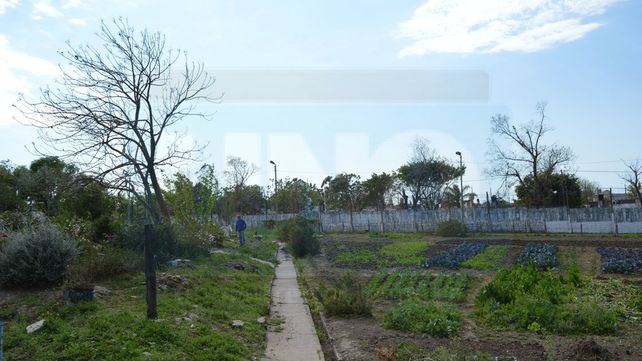 Huerta de la UP&nbsp;