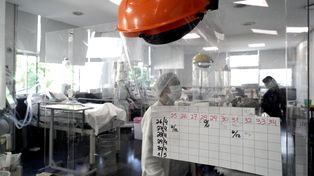 Argentina, con récord de contagios: casi 40 mil nuevos positivos en una sola jornada