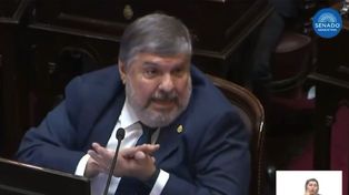 El senador formoseño de Unión por la Patria, José Mayans, apuntó contra Milei tras sus referencias a la película Terminator.