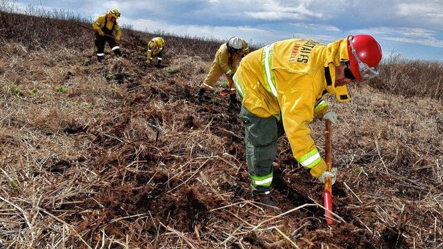 Habilitan a realizar cortafuegos para prevenir incendios en el delta del Paraná