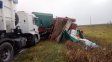 Choque múltiple en la Ruta Nacional 11 entre tres camiones, una camioneta y un auto a la altura de Marcelino Escalada