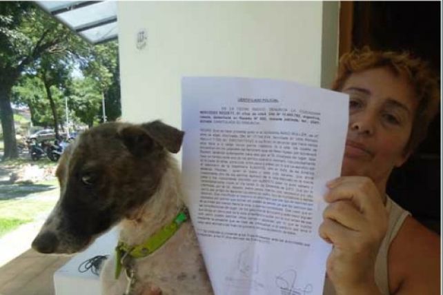 Paraná: usarían a perros de la calle para entrenar a los de pelea