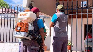 Dengue: se realizó un bloqueo barrial por caso autóctono