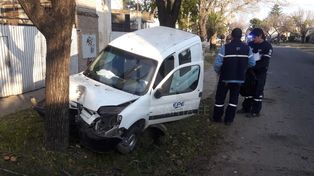 Un utilitario de la EPE chocó contra un árbol