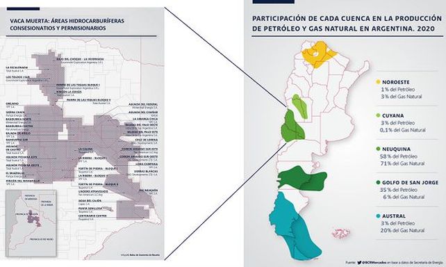 ¿Vaca Muerta sí y biocombustibles no?