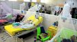 La OMS alertó que el mosquito del dengue aumenta en todo el Cono Sur