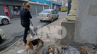 Camioneros se despegó de la medida de fuerza en Urbafe