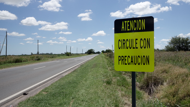 Advierten que diversas especies están en peligro por situaciones de atropellamientos en las rutas de Santa Fe.
